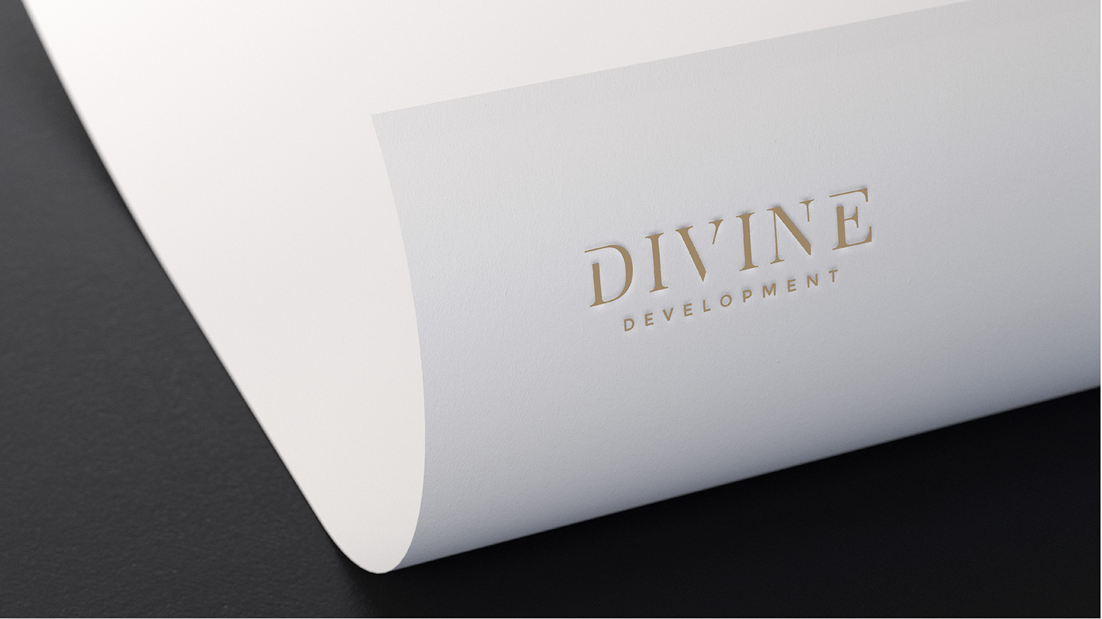 DIVINE DEVELOPMENT
