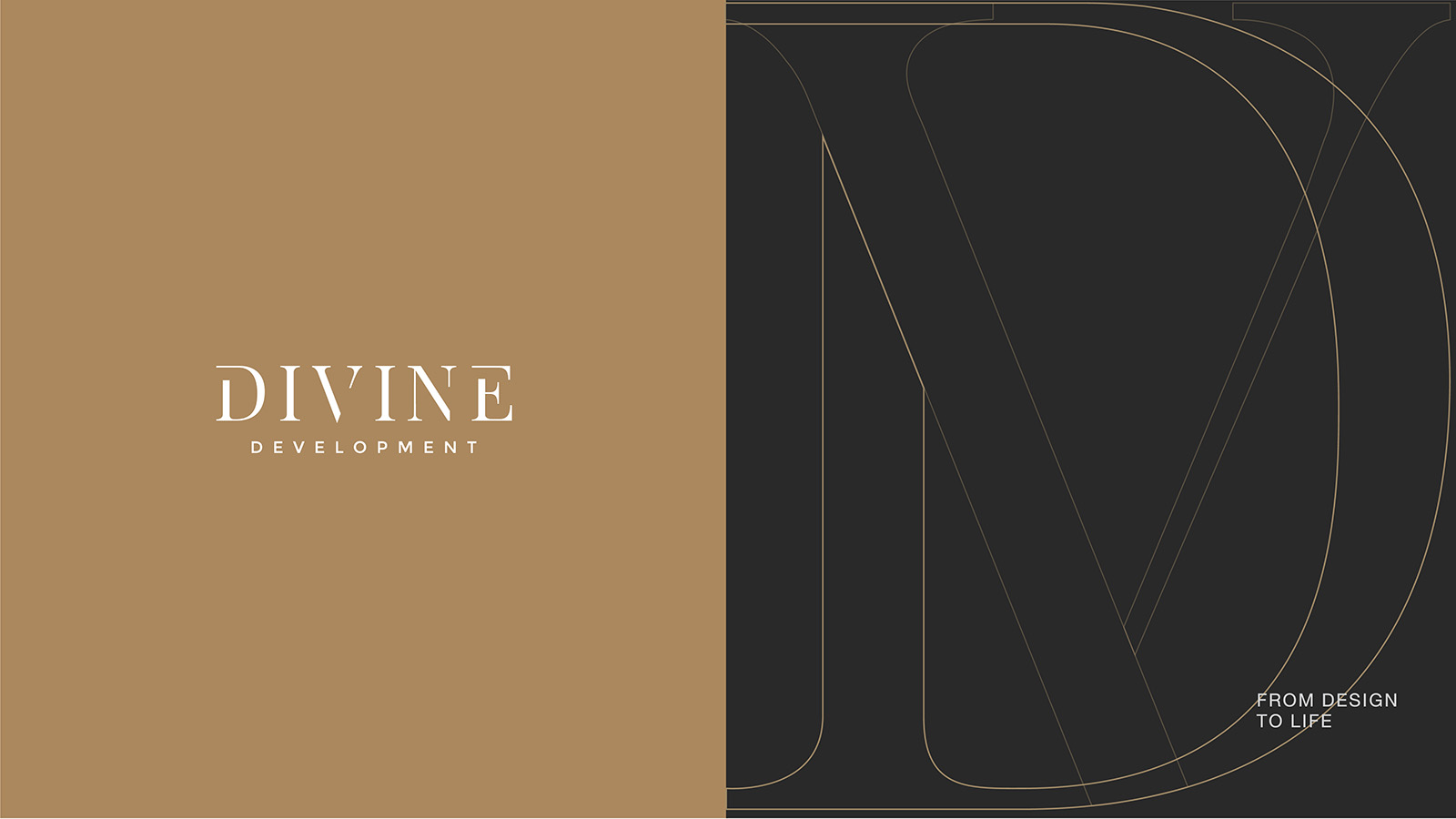 DIVINE DEVELOPMENT
