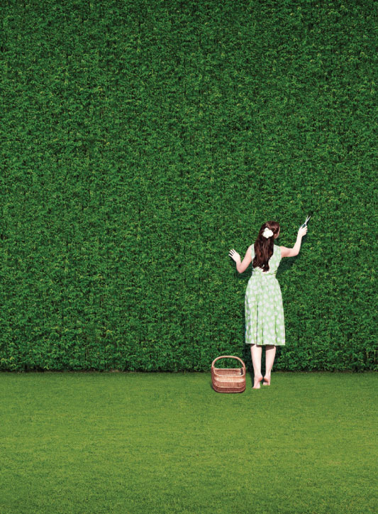 THE GARDEN